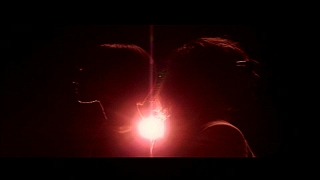 Sebastien Tellier : Sexual Sportswear (Fleur & Manu)